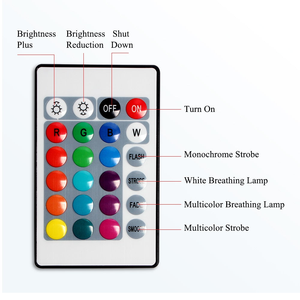 10 Inch Rgb Video Light 16Colors Rgb Ring Lamp For Phone With Remote Camera Studio Large Light Led 48" Stand 160Cm For Youtuber - 2bazar4