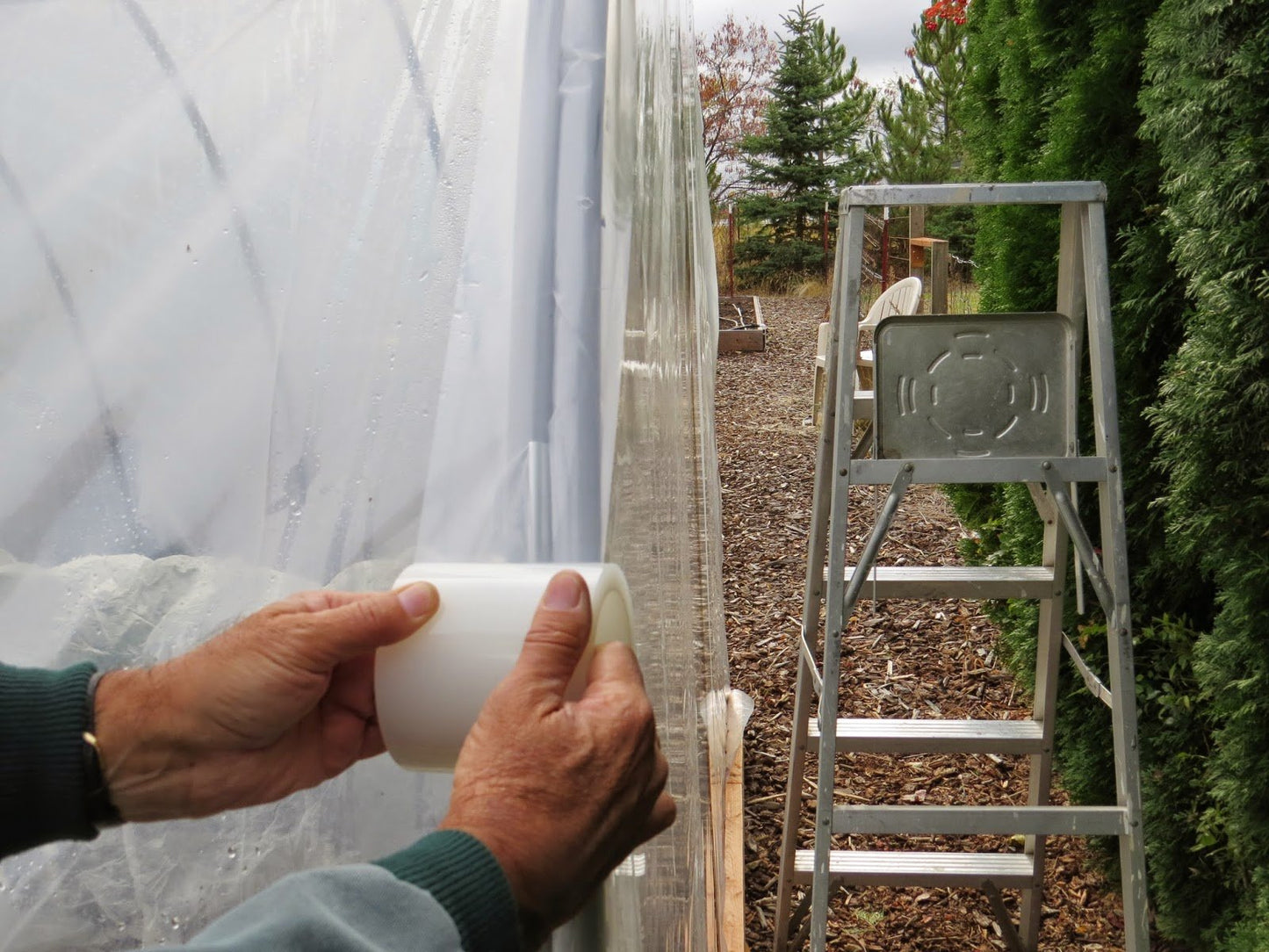 Polytunnel Greenhouse Clear Polythene Repair Tape 5cm, 10cm, 15cm, 20cm x 25m Lenght - 2bazar4