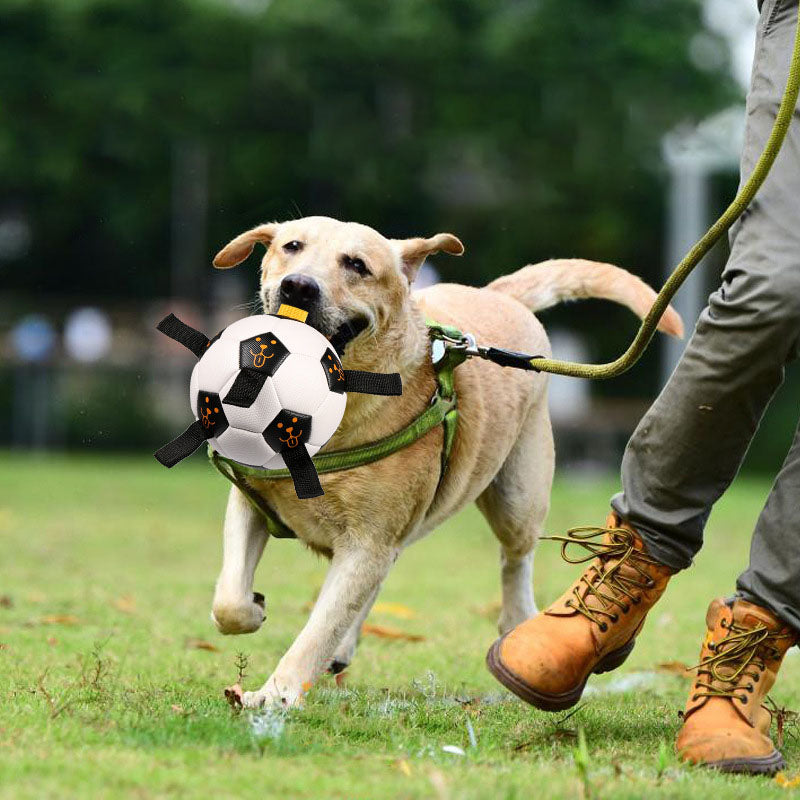 Pet Ball Toy Outdoor Interactive Football Dog Training Ball Multifunctional Rope Biting Dog Ball Dog Toy - 2bazar4