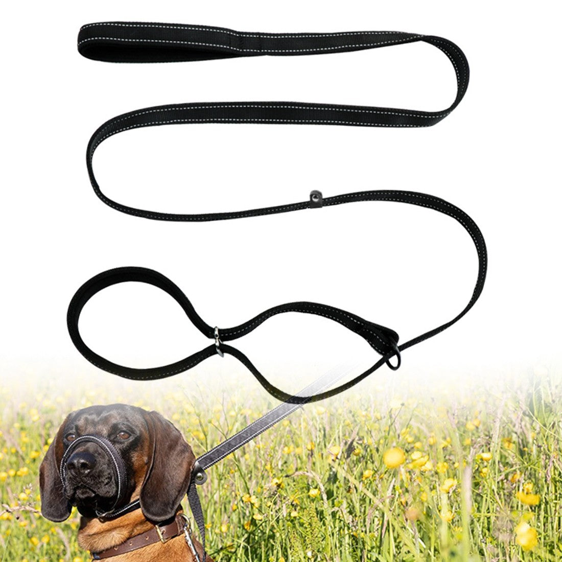 Anti-Pull Dog Leash with Head Collar & Waste Bag Dispenser - product image 7