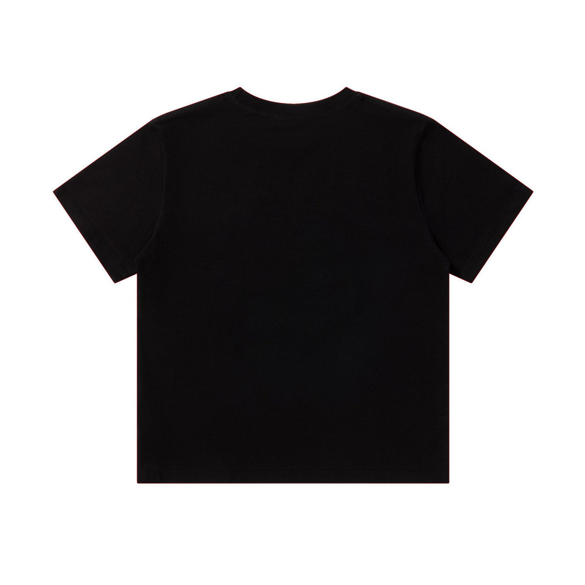 Embroidered short sleeved women