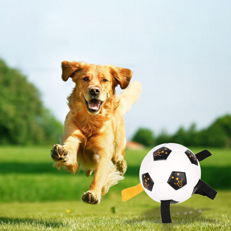 Pet Ball Toy Outdoor Interactive Football Dog Training Ball Multifunctional Rope Biting Dog Ball Dog Toy - 2bazar4