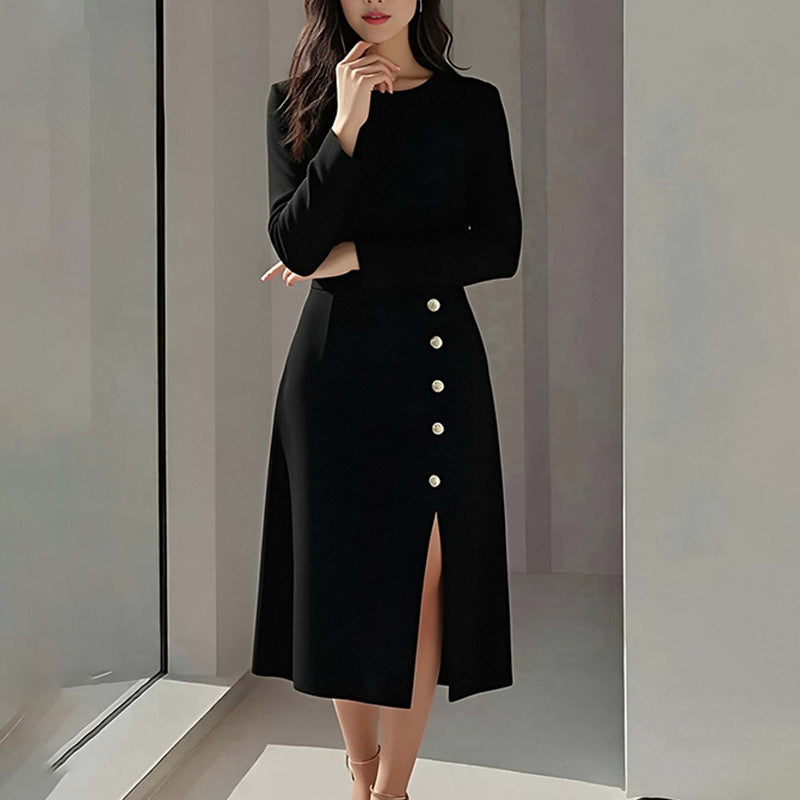Elegant Style Round Neck Solid Color Dress Long Dress for Women