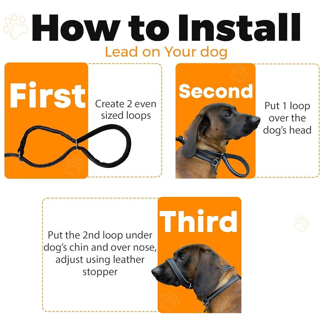 Anti-Pull Dog Leash with Head Collar & Waste Bag Dispenser - product image 3
